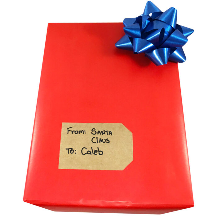 Blank Holiday Kraft Gift Tags In Gift Tag Shape - Image 7