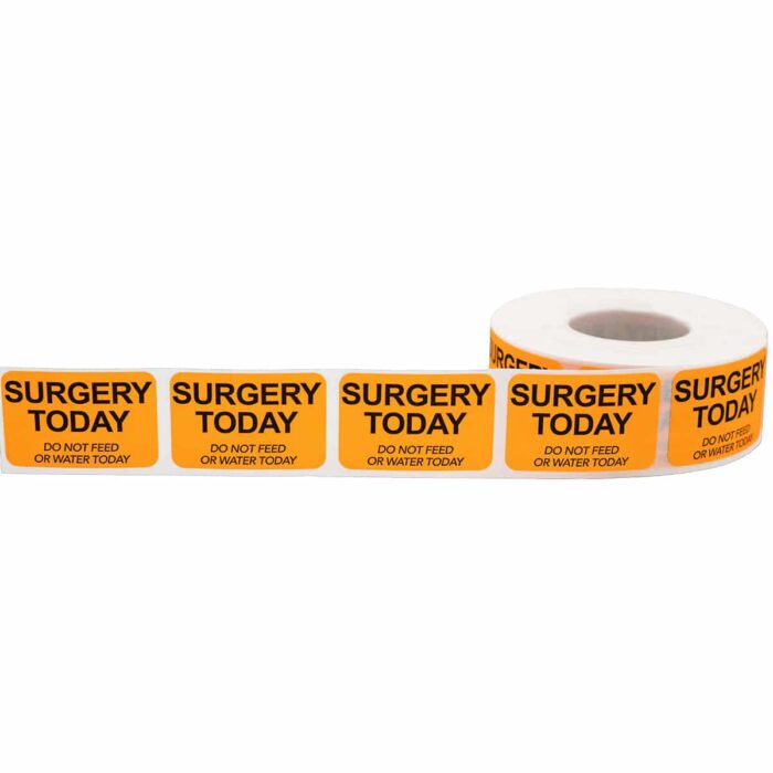 Surgery Today - Do Not Feed or Water Veterinarian Labels | 1" x 1.5" - Image 2