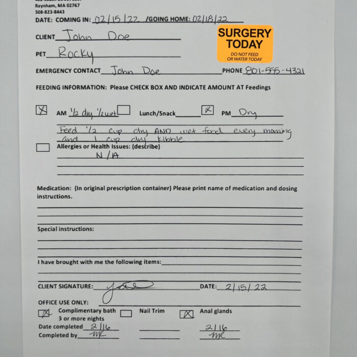 Surgery Today - Do Not Feed or Water Veterinarian Labels | 1" x 1.5" - Image 3