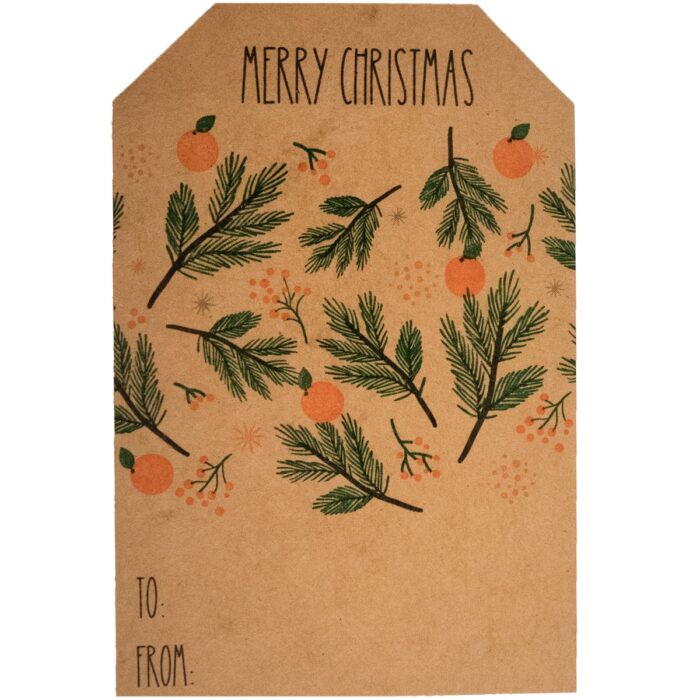 Boho Style Kraft Merry Christmas Citrus Adhesive Gift Tags Qty 25 - Image 3